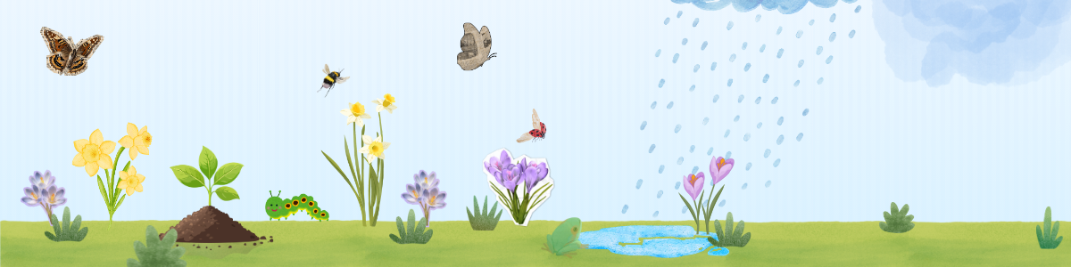 Spring scene with daffodils, crocuses, pollinators and a spring shower.