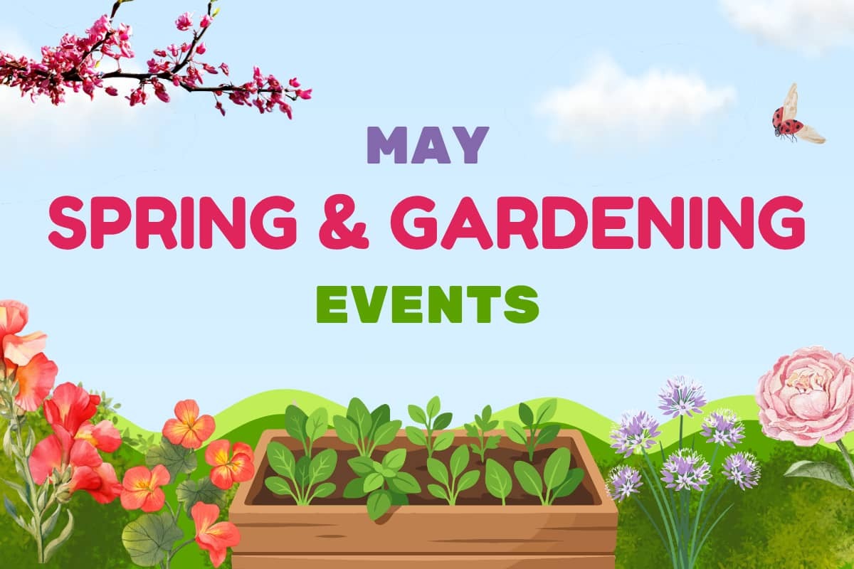 May spring scene with flowers, redbud, and a garden box.